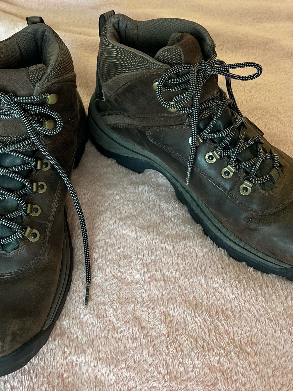 Timberland Dark Brown Lace-Up Men's Hiking Boots